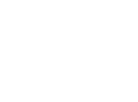 Venice production bridge